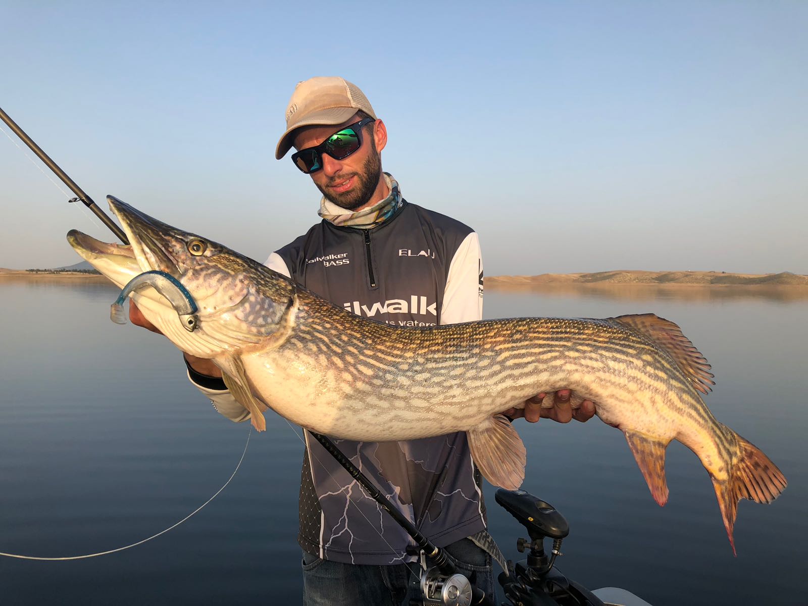 Gros Brochet Extremadura espagne (322) EXTREMADURA PRO FISHING