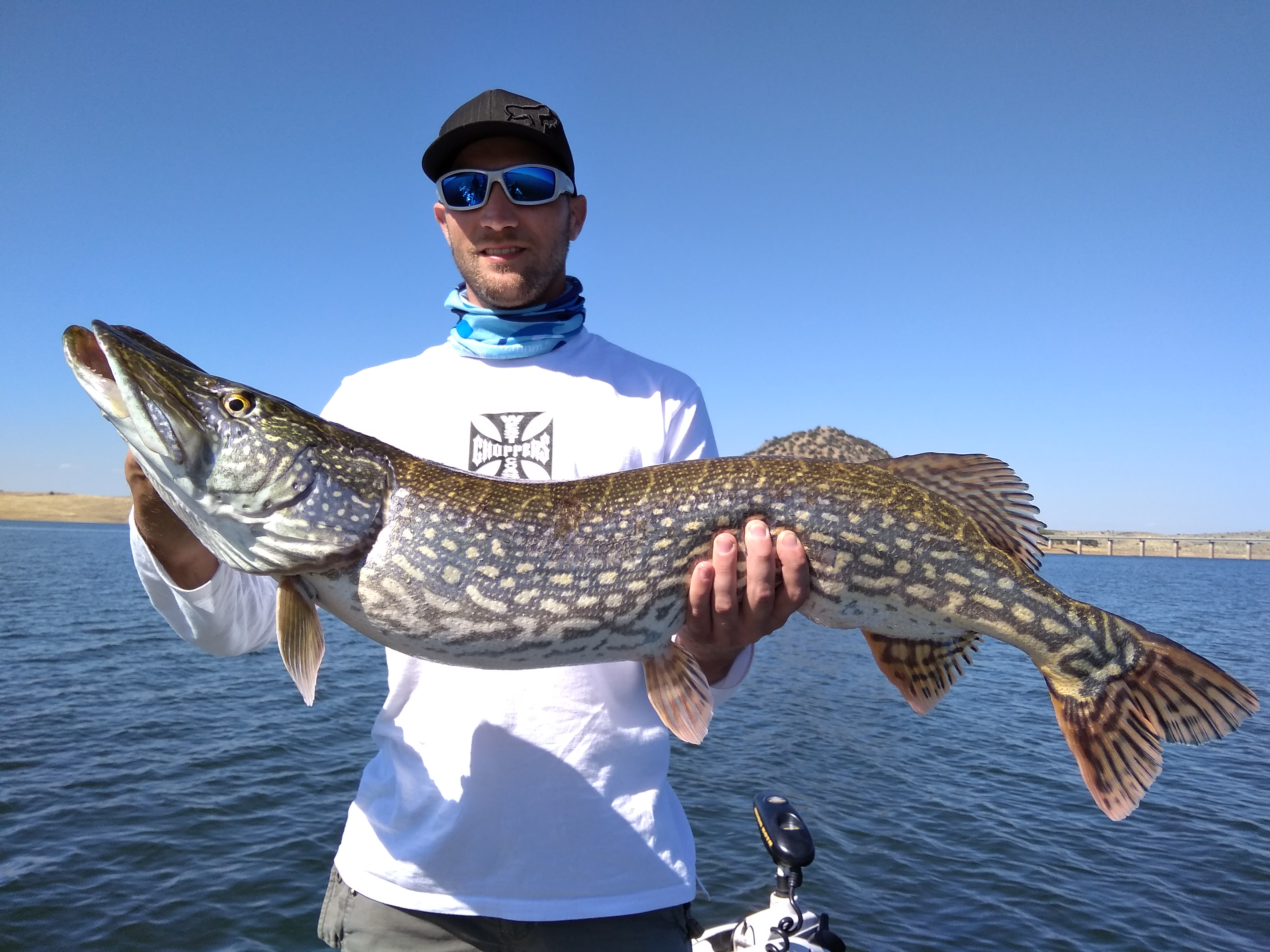 Gros Brochet Extremadura espagne (60) EXTREMADURA PRO FISHING